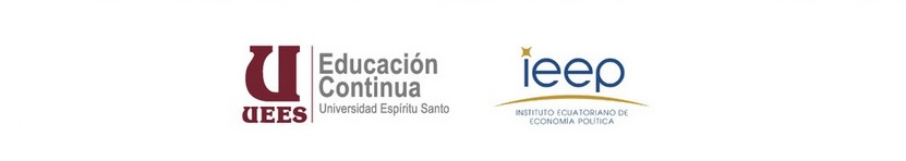 IEEP Seminario Junio 2024 copy