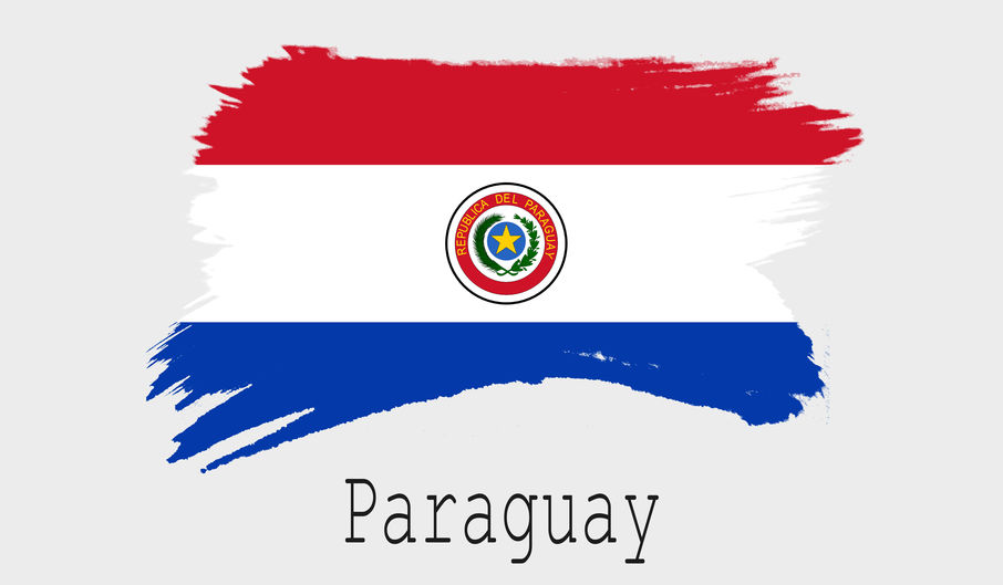 Paraguay flag on white background