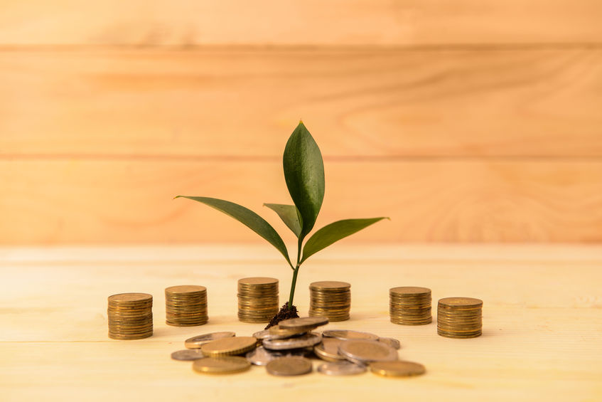 Coins with growing plant on wooden table. Money savings concept