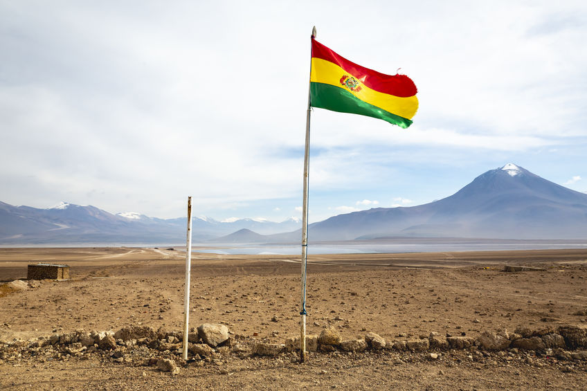 Bolivian flag and Laguna Blanca, white Lagoon, in Altiplano of Bolivia