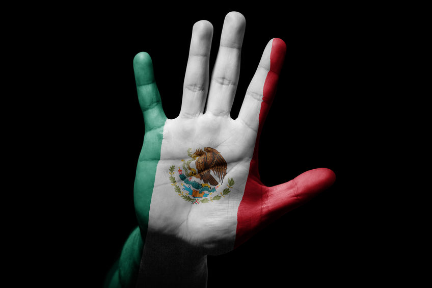 man hand with flag of Mexico in stop sign