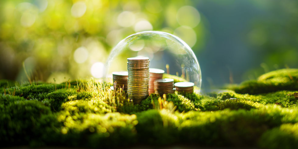 Savings Protection Concept, Silver Coins Stacked on Green Natura